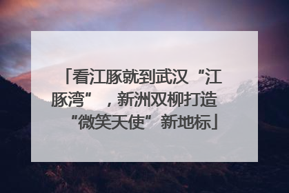 看江豚就到武汉“江豚湾”，新洲双柳打造“微笑天使”新地标