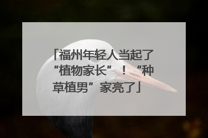 福州年轻人当起了“植物家长”！“种草植男”家亮了