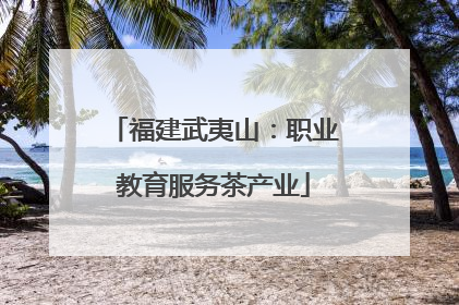 福建武夷山：职业教育服务茶产业
