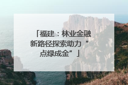 福建：林业金融新路径探索助力“点绿成金”