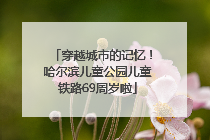 穿越城市的记忆！哈尔滨儿童公园儿童铁路69周岁啦