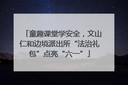 童趣课堂学安全，文山仁和边境派出所“法治礼包”点亮“六一”