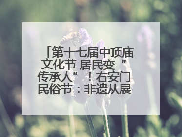 第十七届中顶庙文化节 居民变“传承人”！右安门民俗节：非遗从展柜走进烟火气