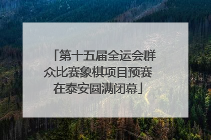 第十五届全运会群众比赛象棋项目预赛在泰安圆满闭幕