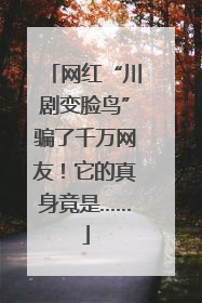 网红“川剧变脸鸟”骗了千万网友！它的真身竟是……