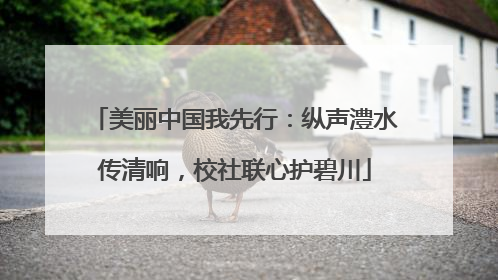 美丽中国我先行：纵声澧水传清响，校社联心护碧川
