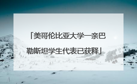美哥伦比亚大学一亲巴勒斯坦学生代表已获释