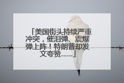 美国街头持续严重冲突，催泪弹、震爆弹上阵！特朗普却发文夸赞……