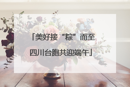 美好接“粽”而至 四川台胞共迎端午