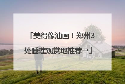 美得像油画！郑州3处睡莲观赏地推荐→