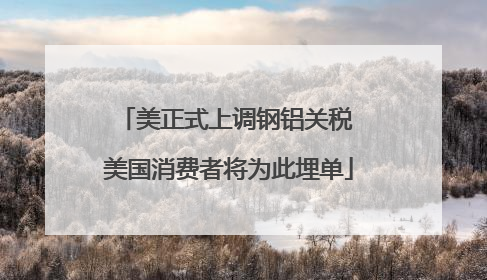 美正式上调钢铝关税 美国消费者将为此埋单
