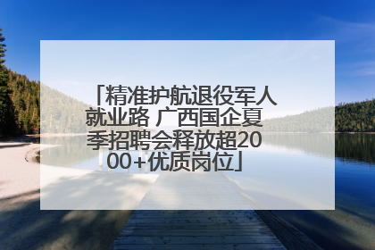 精准护航退役军人就业路 广西国企夏季招聘会释放超2000+优质岗位