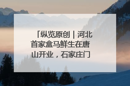 纵览原创｜河北首家盒马鲜生在唐山开业，石家庄门店预计8月开业