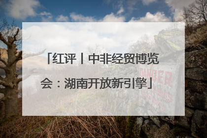 红评丨中非经贸博览会：湖南开放新引擎