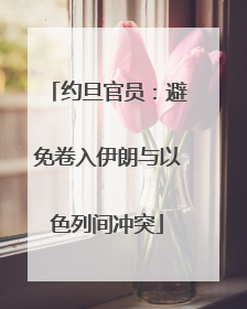 约旦官员：避免卷入伊朗与以色列间冲突