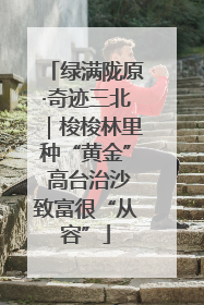 绿满陇原·奇迹三北｜梭梭林里种“黄金” 高台治沙致富很“从容”