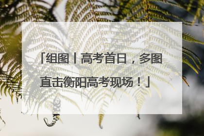 组图丨高考首日，多图直击衡阳高考现场！