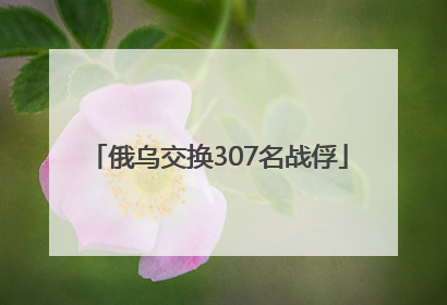 俄乌交换307名战俘