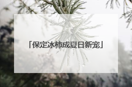 保定冰柿成夏日新宠
