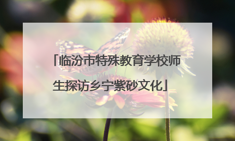临汾市特殊教育学校师生探访乡宁紫砂文化
