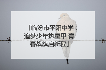 临汾市平阳中学：追梦少年执星甲 青春战旗启新程