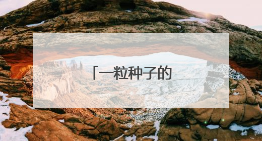 一粒种子的“赶考记”