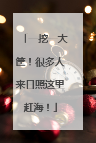 一挖一大筐！很多人来日照这里赶海！