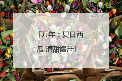 万年：夏日西瓜 清甜爆汁