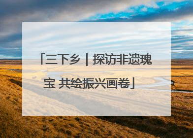 三下乡｜探访非遗瑰宝 共绘振兴画卷