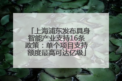 上海浦东发布具身智能产业支持16条政策：单个项目支持额度最高可达亿级