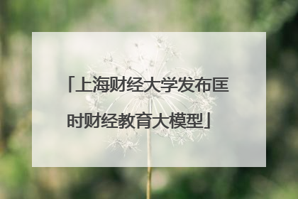 上海财经大学发布匡时财经教育大模型