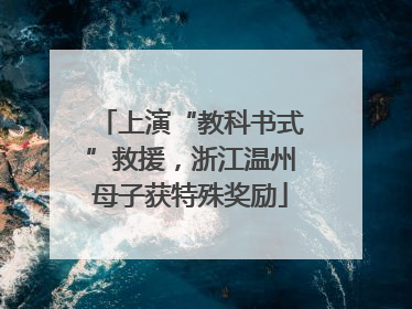 上演“教科书式”救援，浙江温州母子获特殊奖励