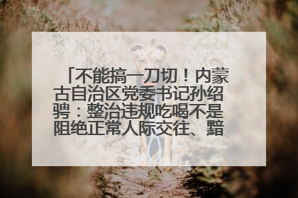 不能搞一刀切！内蒙古自治区党委书记孙绍骋：整治违规吃喝不是阻绝正常人际交往、黯淡人间烟火