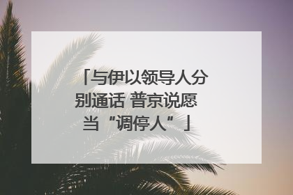 与伊以领导人分别通话 普京说愿当“调停人”