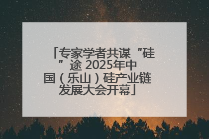专家学者共谋“硅”途 2025年中国（乐山）硅产业链发展大会开幕