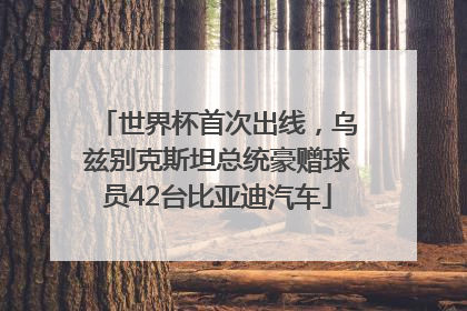 世界杯首次出线，乌兹别克斯坦总统豪赠球员42台比亚迪汽车