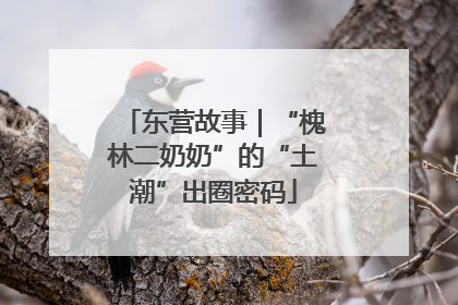 东营故事｜“槐林二奶奶”的“土潮”出圈密码