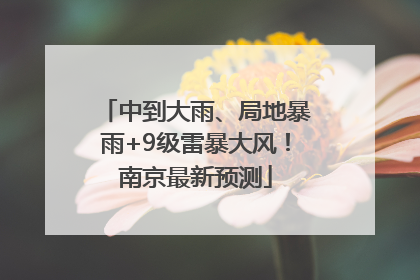 中到大雨、局地暴雨+9级雷暴大风！南京最新预测