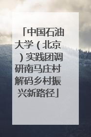 中国石油大学（北京）实践团调研南马庄村解码乡村振兴新路径