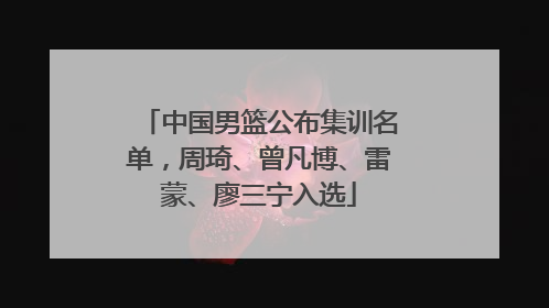 中国男篮公布集训名单，周琦、曾凡博、雷蒙、廖三宁入选