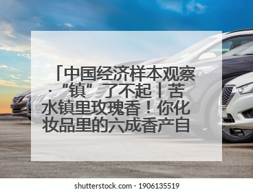 中国经济样本观察·“镇”了不起丨苦水镇里玫瑰香！你化妆品里的六成香产自这个小镇