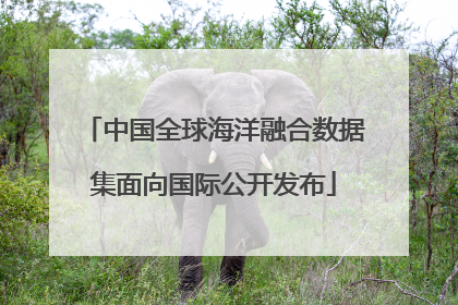 中国全球海洋融合数据集面向国际公开发布