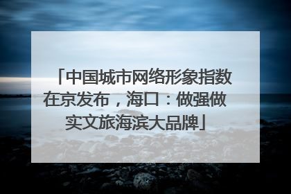 中国城市网络形象指数在京发布，海口：做强做实文旅海滨大品牌