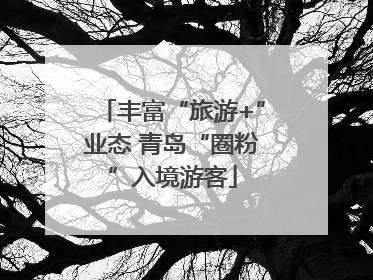 丰富“旅游+”业态 青岛“圈粉”入境游客