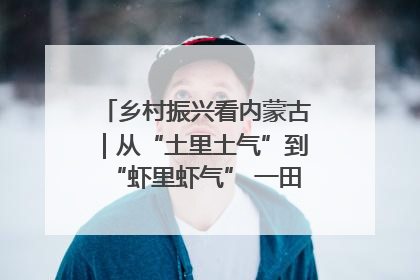 乡村振兴看内蒙古｜从“土里土气”到“虾里虾气” 一田双收模式火出圈