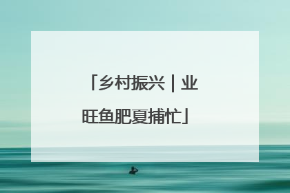 乡村振兴｜业旺鱼肥夏捕忙