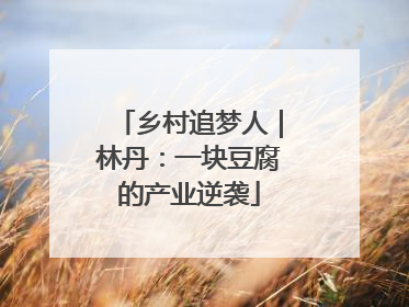 乡村追梦人｜林丹：一块豆腐的产业逆袭