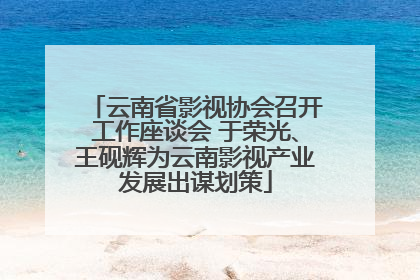 云南省影视协会召开工作座谈会 于荣光、王砚辉为云南影视产业发展出谋划策