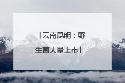 云南昆明：野生菌大量上市