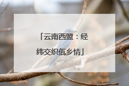 云南西盟：经纬交织佤乡情